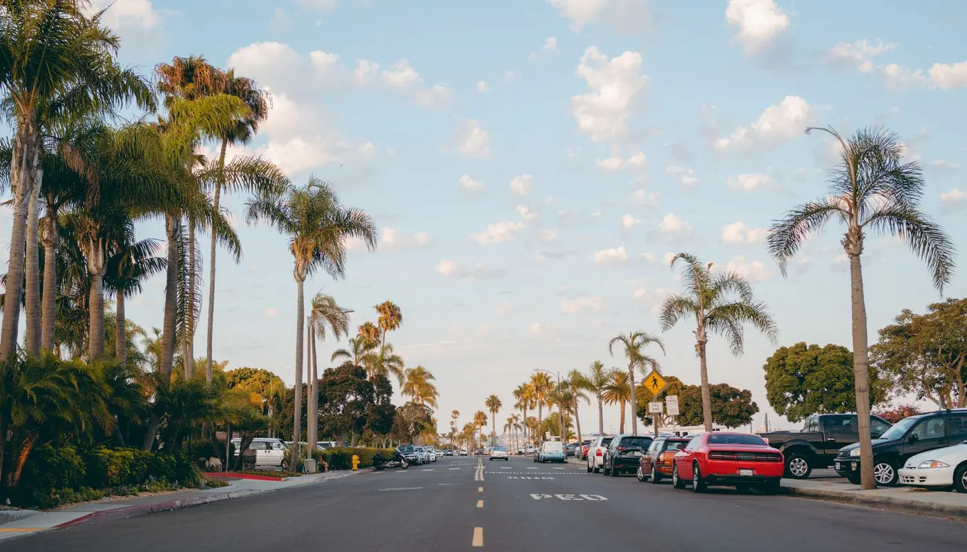 Landscaping service area in Bakersfield, CA: palm-lined residential street