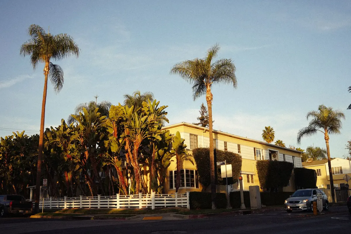 Landscaping in Lamont, CA