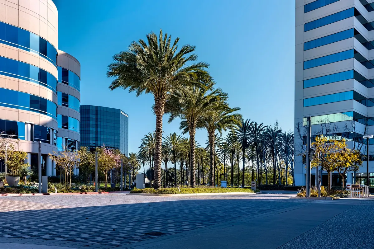 Commercial landscaping in Bakersfield, CA: palm trees outside an office complex
