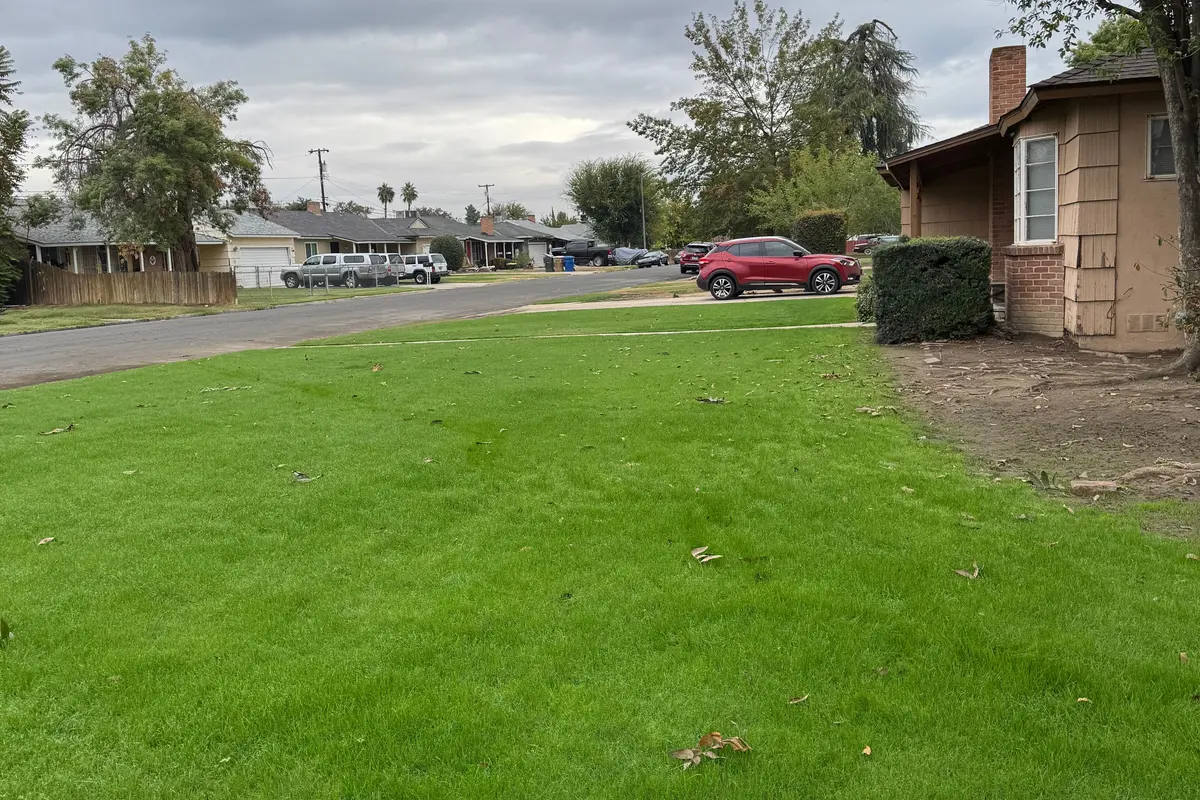 Lawn care in Bakersfield, CA: mower cutting a green lawn