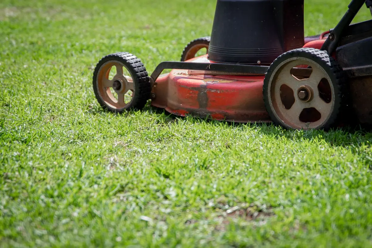 Lawn mowing service in Bakersfield, CA: red mower on a green lawn