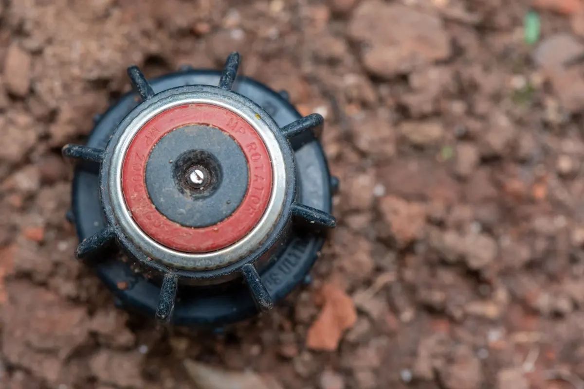Sprinkler repair in Bakersfield, CA: close-up of a pop-up sprinkler head